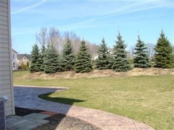 2nd image of 12312 Paddock Cir