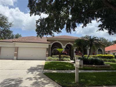 9333 Deer Creek Dr, Tampa, FL, 33647