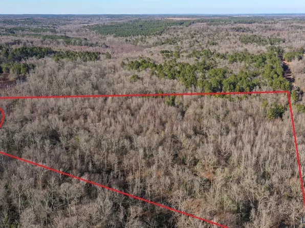 0 County Road 1579 #A, Avinger, TX 75630