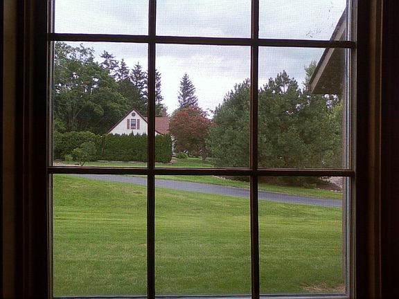 View From Dad's Room