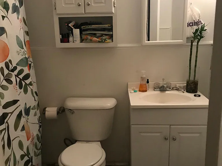 255 Hosea Ave #4 — Photo 5