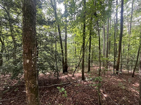 2nd image of LOT 666 Nugget Ln