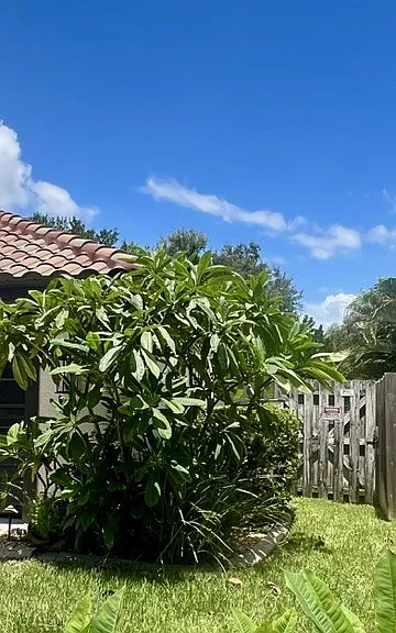 Fully fenced back yard: this home allows for approved pets. They and you will adore this fully fenced and landscaped backyard.