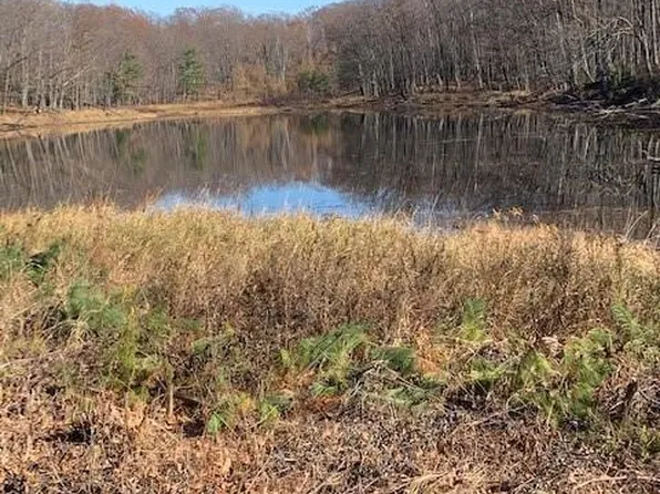 0000 Hwy 53, Sarona, WI 54870