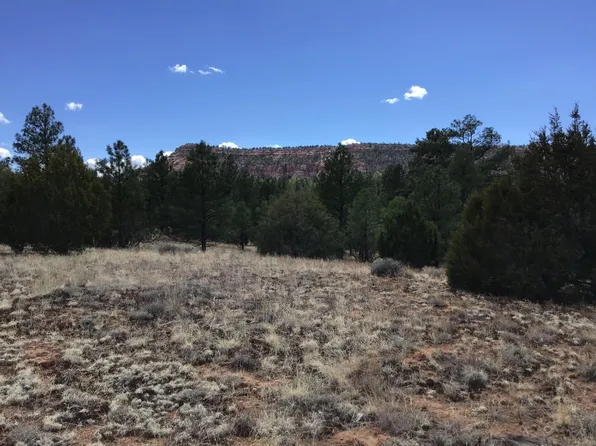LOT 28 Monte Vista Ln, Ramah, NM 87321