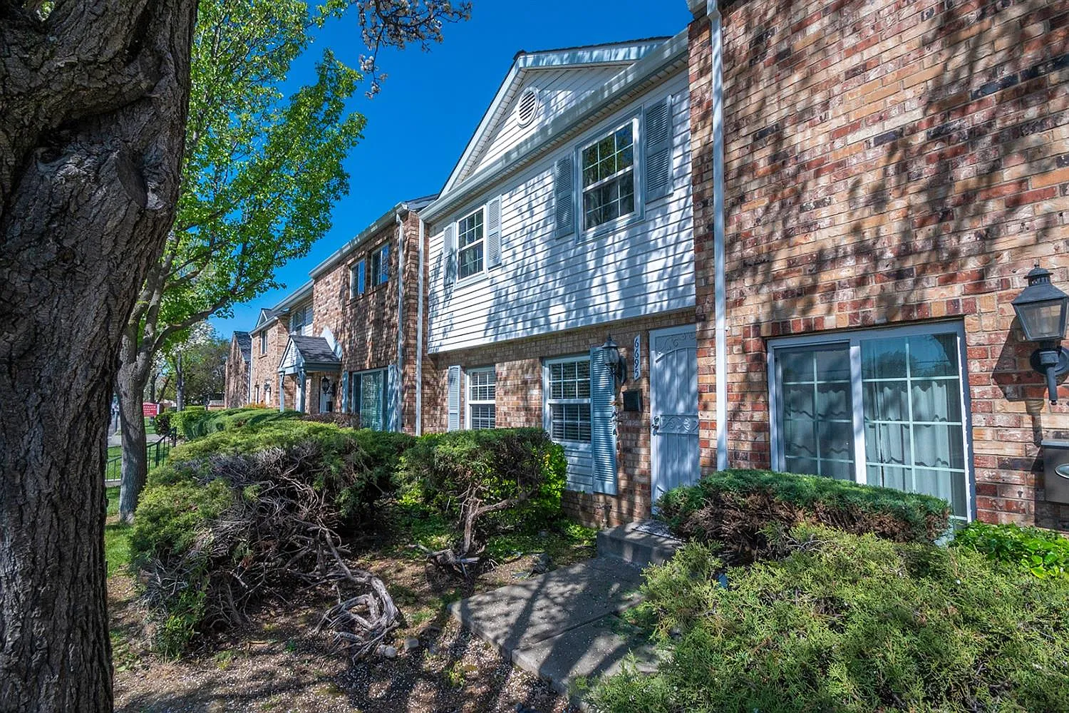 6695 Greenback Ln photo 1