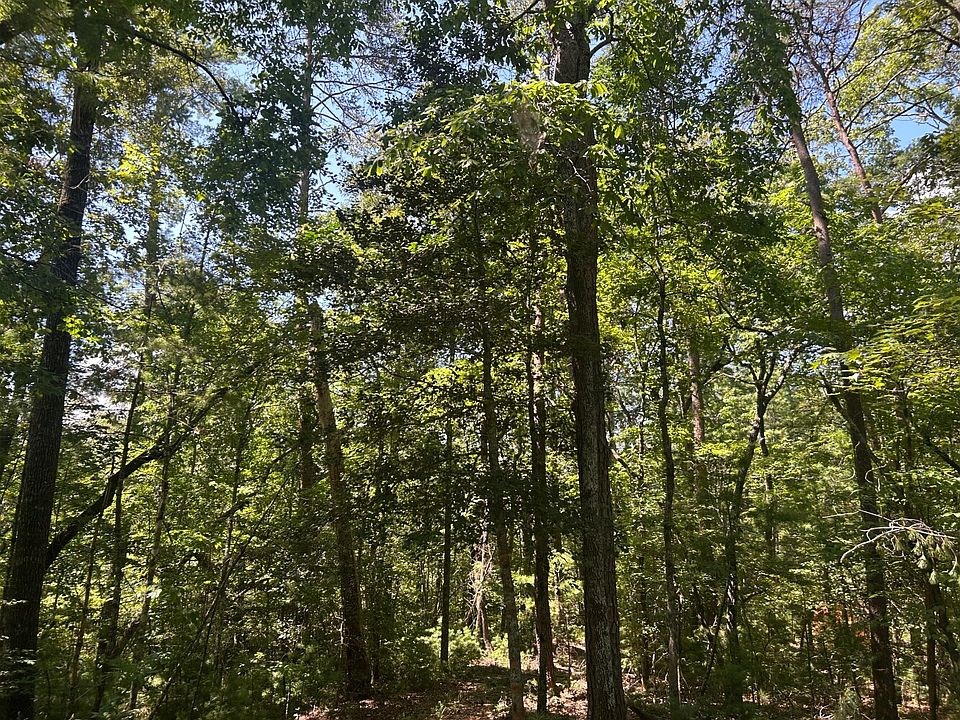 40th image of this home