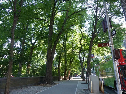 Rented by Immac Realty | media 12