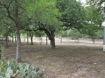 5th image of 21700 Ann Showers Dr