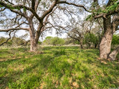 TBD LOT 49 BLOSSOM DR LOT 49, Poteet, TX, 78065