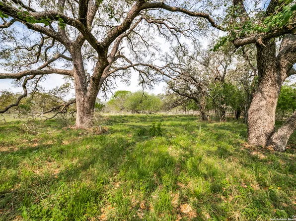 TBD LOT 49 BLOSSOM DR LOT 49, Poteet, TX 78065