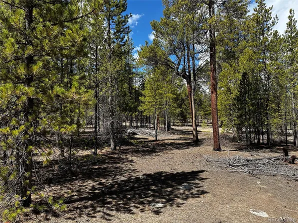945 Birch Drive, Twin Lakes, CO 81251