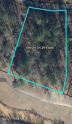 1st image of L-019 E Militia Loop
