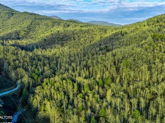 2nd image of 0 Hoskins Gap Rd #0