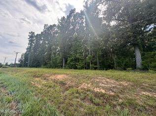 Highway 469 N, Pearl, MS 39208