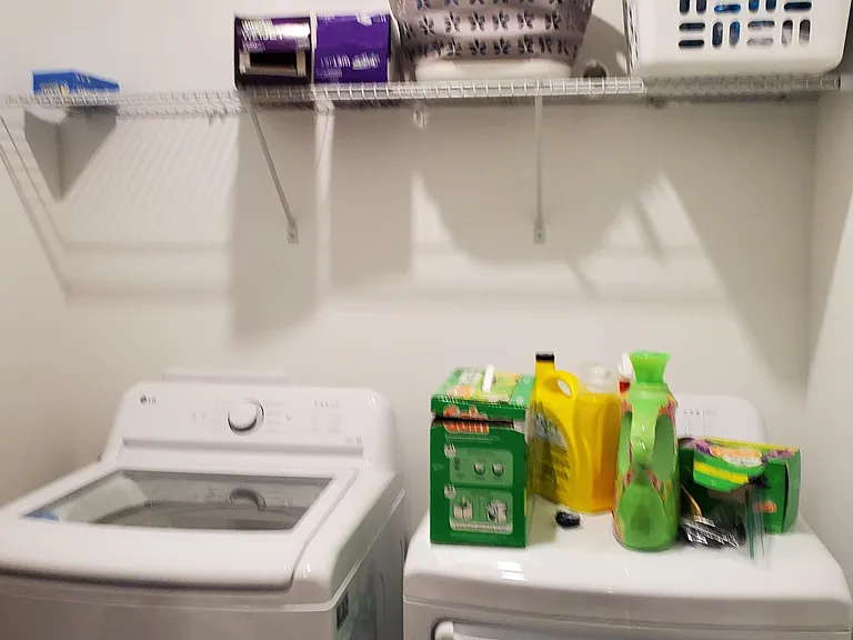1038 Grey Flint Pl — Photo 17