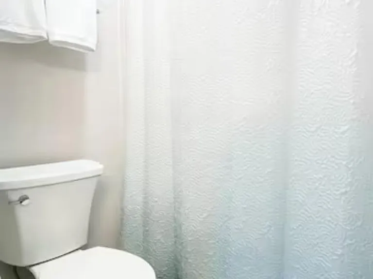 Master bathroom features separate toilet/shower space
