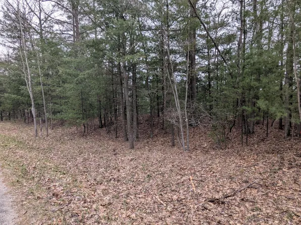 V/l 0 West Crooked Lake Rd, Lake City, MI 49651
