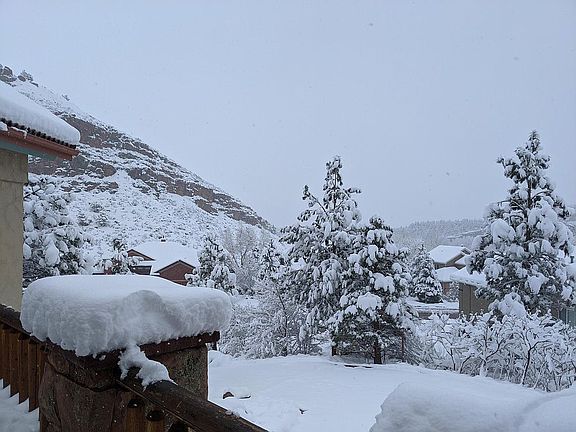 View from front porch.