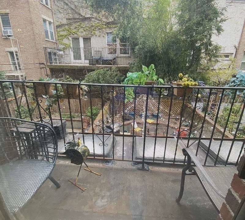 1st image of 73 W 85th St #1B1