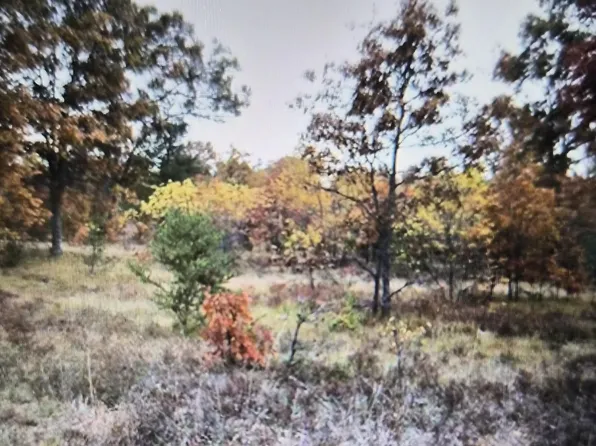 LOT 27 Northwood Dr, Grayling, MI 49738