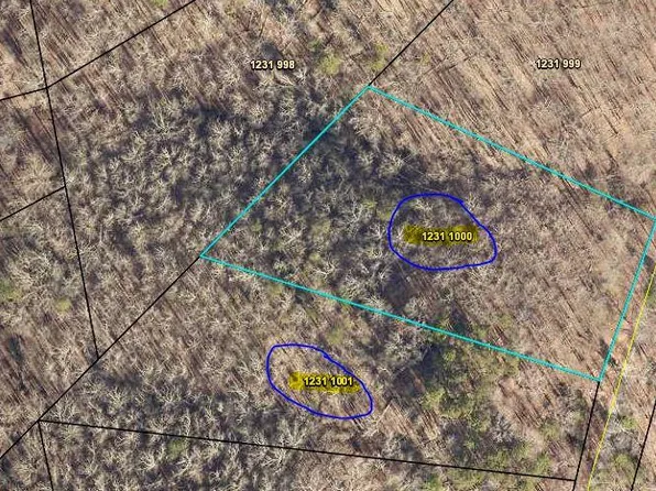 1001 Racoon Ridge Rd Lot 1000, Ranger, GA 30734