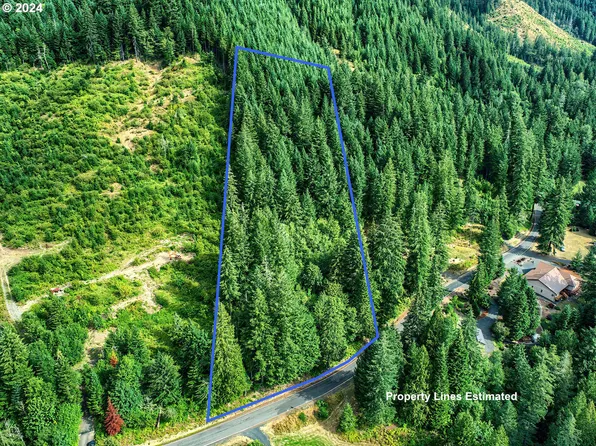 Bear Creek Rd, Carson, WA 98610