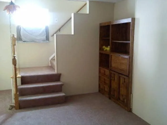 Living Room Steps