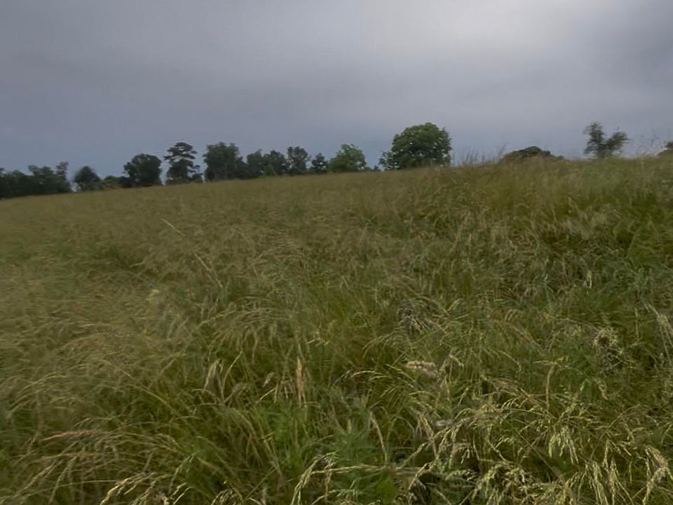 2nd image of 121 Black Bottom Rd #1