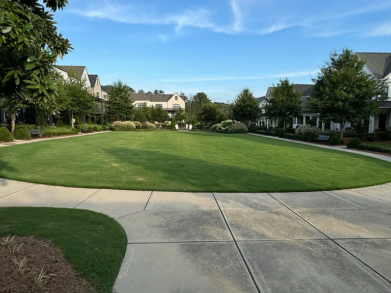 Common area green space