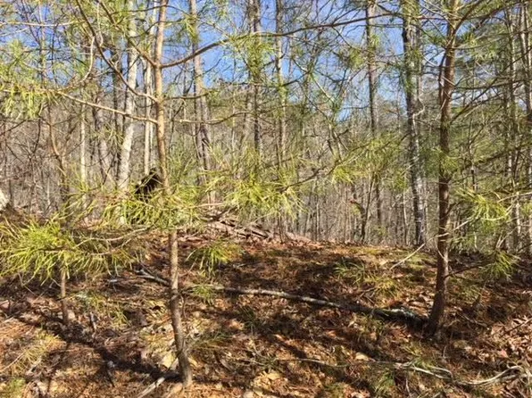 Ace Gap Rd, Townsend, TN 37882