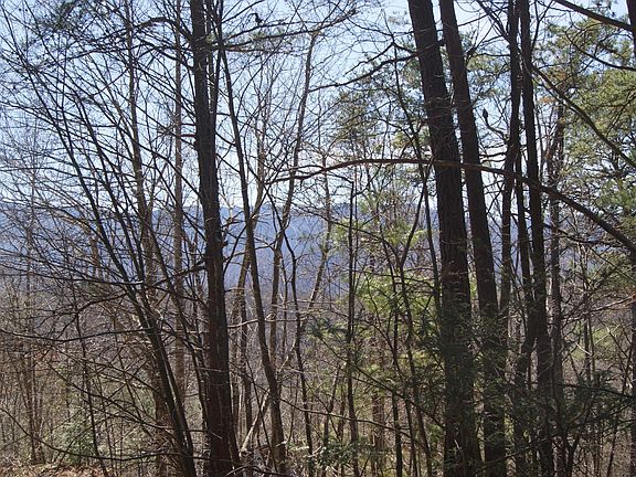 2nd image of 0 Shady Gap Way Lot 29
