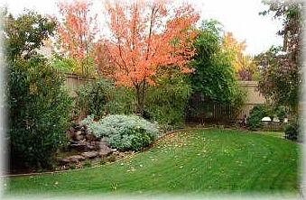 2nd image of 1116 Buckbrush Dr
