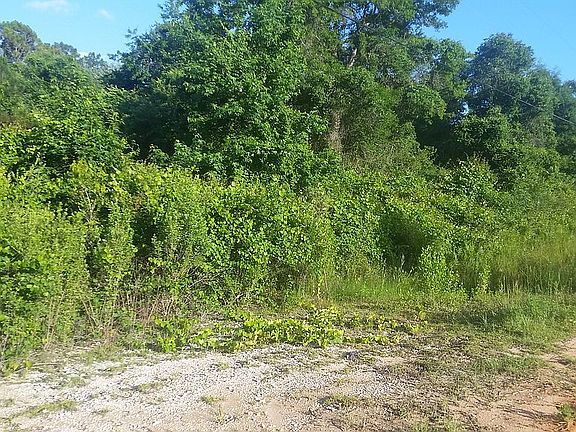 3rd image of 8426 Woodleigh Rd