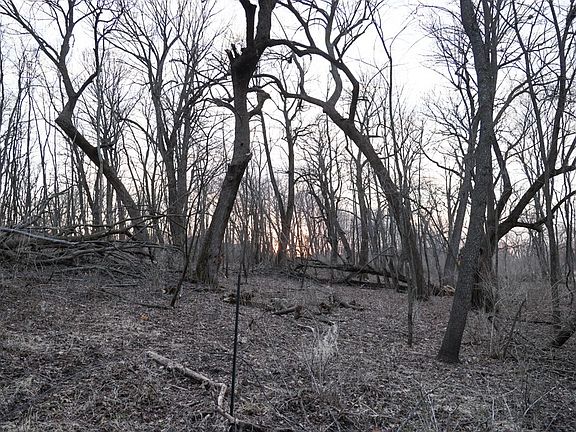 5th image of 566 Hardin Rd