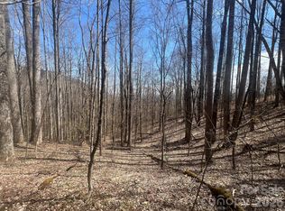 200 Wolverine Ct #44, Waynesville, NC 28785