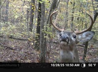 255 Unbreakable Rd, Marshall, AR 72650