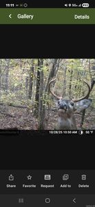 255 Unbreakable Rd, Marshall, AR, 72650