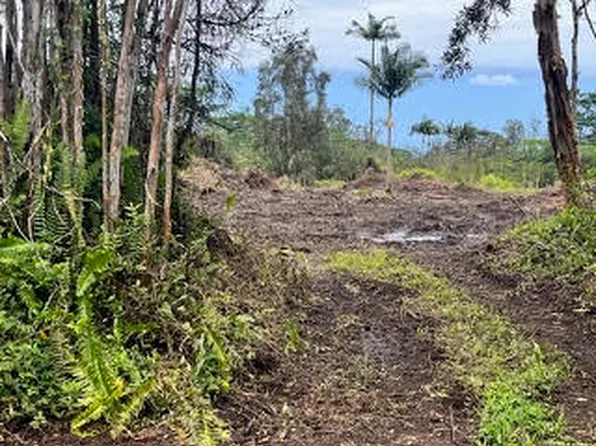 16-1235 39th Ave Lot 62, Kurtistown, HI 96760