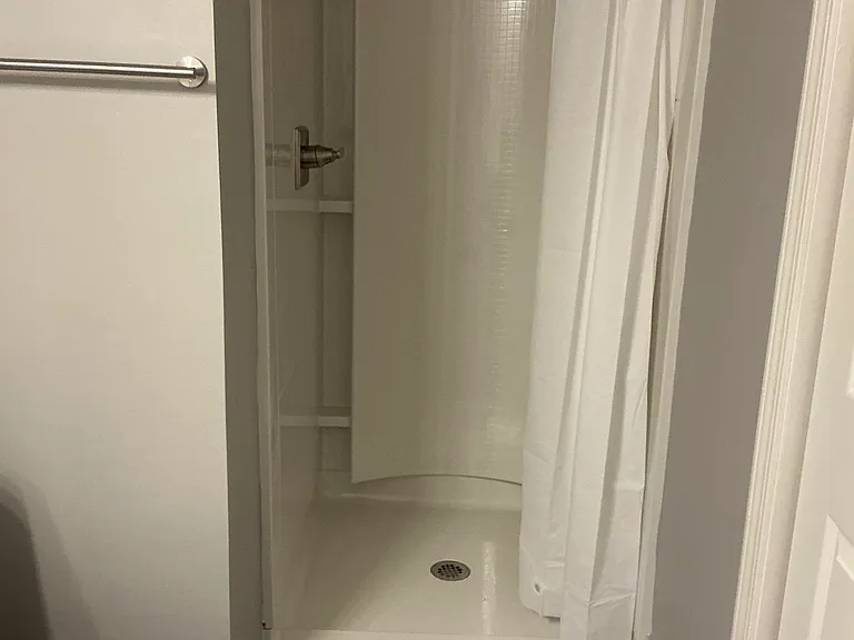 Bathroom walk in shower #2