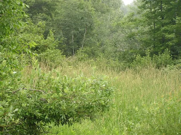 000 Bass Lake Road, Ladysmith, WI 54848