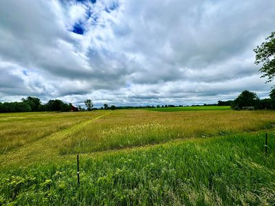 V/l W Lake Montcalm Road Parcel C, Howard City, MI, 49329