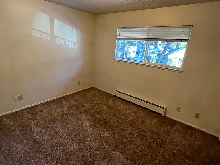 4300 Gray St — Photo 19