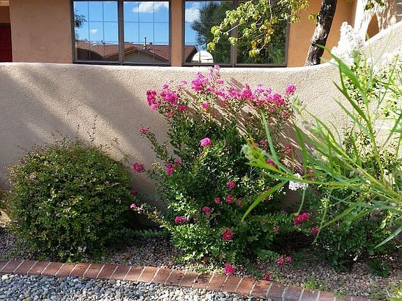 punta de vista front flowers