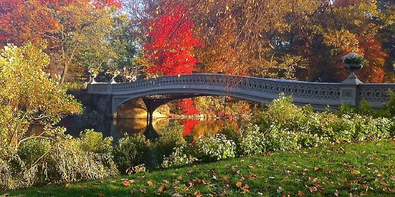 Sold by Corcoran | media 11