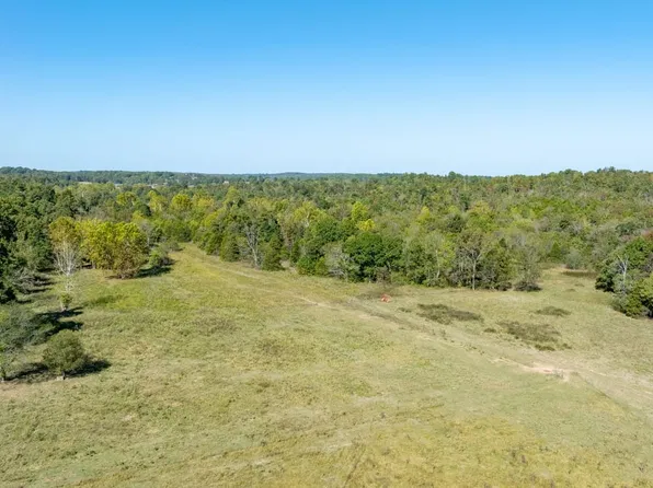 262 Farewell Rd, Ravenden, AR 72459