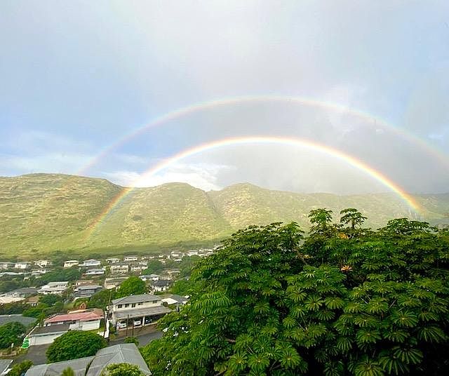 View from living and dining room and back lanai.