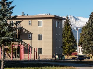 420 W 17th St UNIT 10, Leadville, CO 80461
