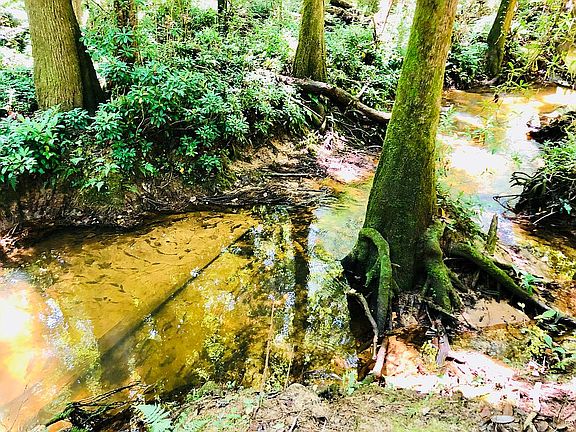 Creek in back 