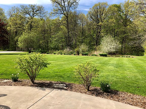 backyard, garden, woods view